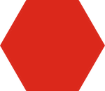 Hexagon in primary dark color
